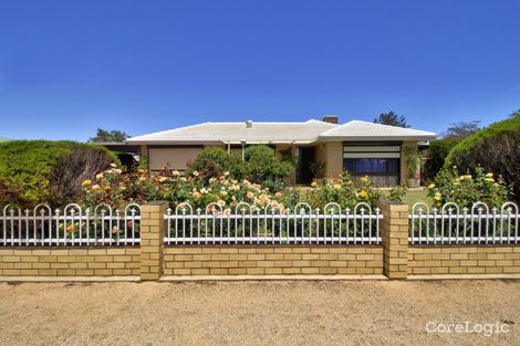 Property photo of 34 Fifth Street Loxton SA 5333