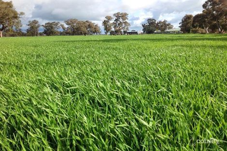 812 Cottons Rd, Muckatah, VIC 3644