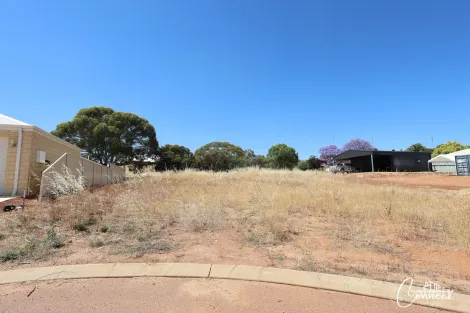 34 Oakover Pl, Northam, WA 6401