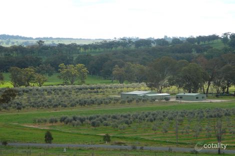 409 Botobolar Rd, Botobolar, NSW 2850