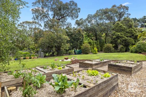 21 Wellington Rd, Tyabb, VIC 3913