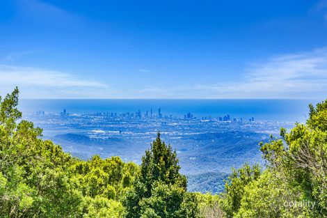 2960 Springbrook Rd, Springbrook, QLD 4213