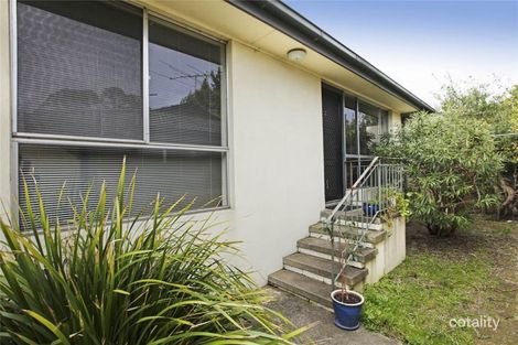 3/371 High St, Belmont, VIC 3216