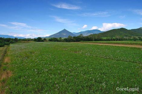 Property photo of 187 Maitland Road Gordonvale QLD 4865