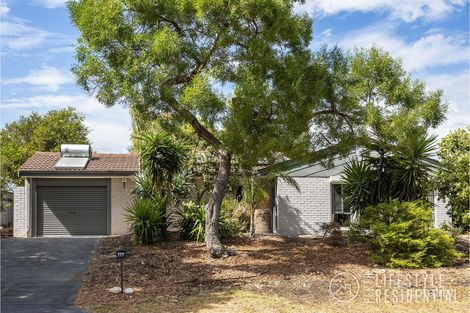 Property photo of 117 Brazier Road Yanchep WA 6035