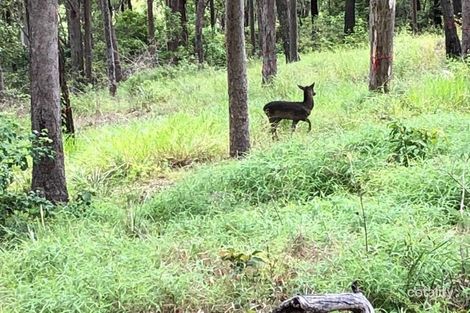 Property photo of 68 Wallaby Drive Mudgeeraba QLD 4213