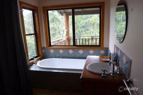 Property photo of 154 Braeside Drive Uki NSW 2484