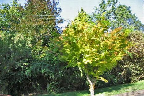 33 Vale St, Katoomba, NSW 2780