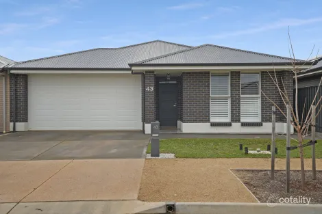 43 Corkwood Cct, Andrews Farm, SA 5114