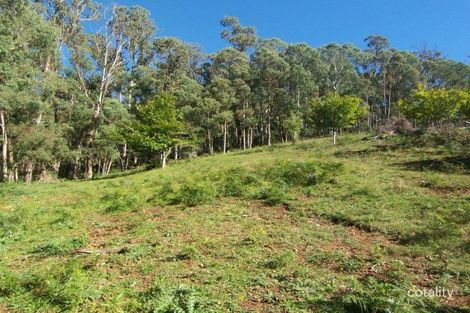 223 Growlers Creek Rd, Wandiligong, VIC 3744