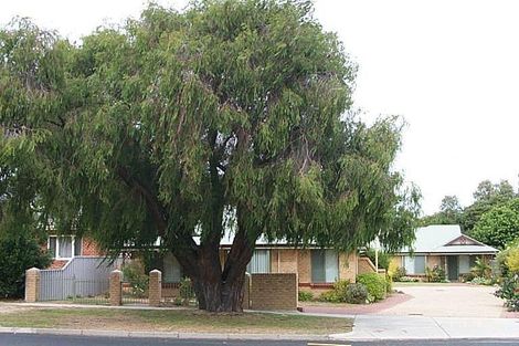 87 Archibald St, Willagee, WA 6156