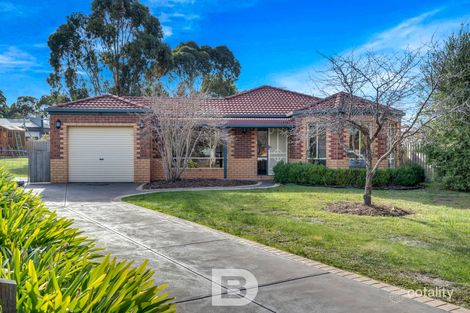 6 Candlebark Ct, Riddells Creek, VIC 3431