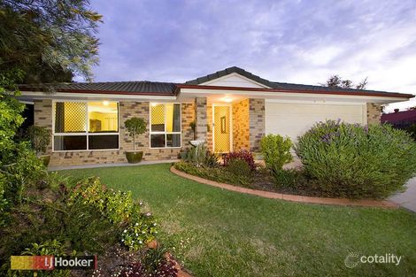 8 Bramble Cl, Warner, QLD 4500