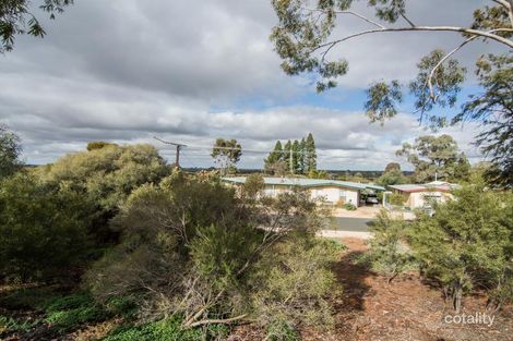 Property photo of 19 Aitken Street Berri SA 5343