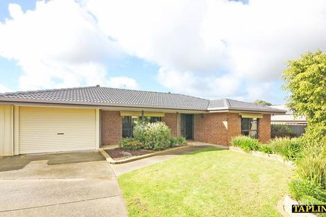 Property photo of 58 Delta Crescent Aberfoyle Park SA 5159