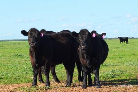 3587 Merivale Rd, Condingup, WA 6450