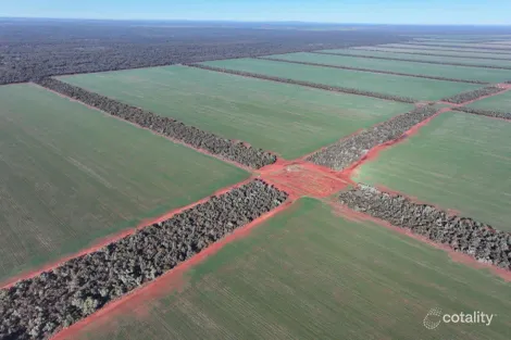 2005 Palesthan Rd, Euabalong, NSW 2877