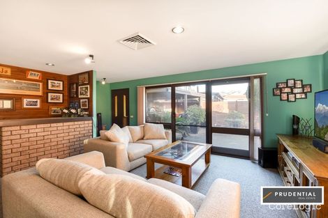 Property photo of 12 Knight Place Minto NSW 2566