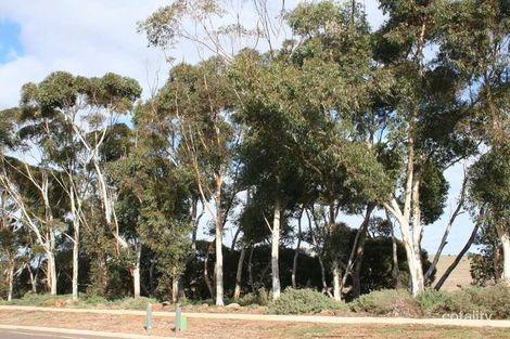 Property photo of 42 St Arnaud Road Eynesbury VIC 3338
