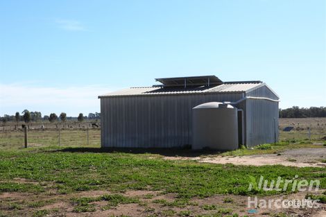 Property photo of 8614 Murray Valley Highway Echuca Village VIC 3564