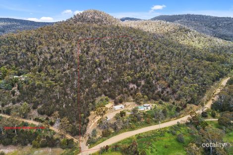 1098 Collins Cap Rd, Molesworth, TAS 7140