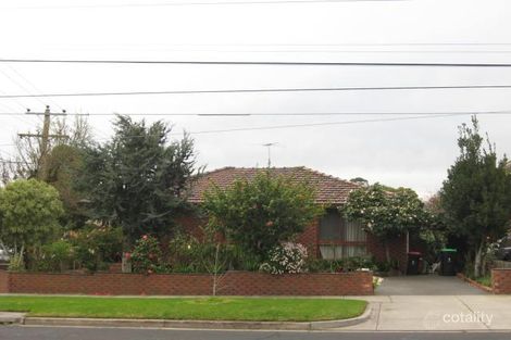 19 Cavanagh St, Cheltenham, VIC 3192