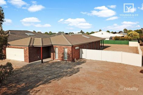 Property photo of 4 Kerang Avenue Kialla VIC 3631