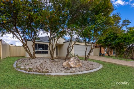 Property photo of 16 Katie Way Raceview QLD 4305