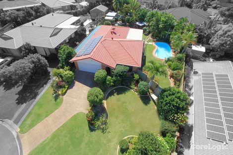 Property photo of 4 Casuarina Court Avoca QLD 4670