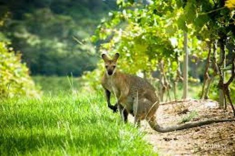 98 Balthazar Cct, Mount Cotton, QLD 4165