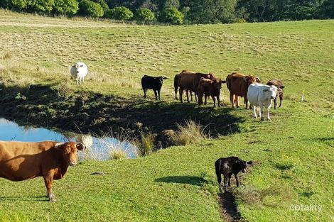 Property photo of 18 Gardner Road Jiggi NSW 2480