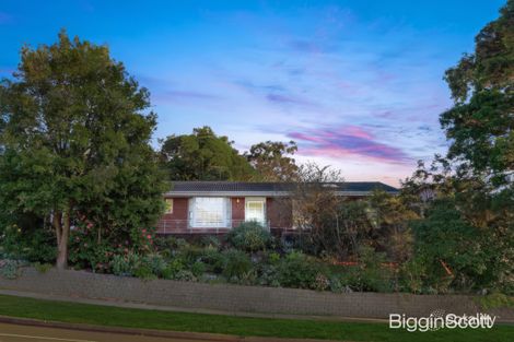 7 Wadham Pde, Mount Waverley, VIC 3149