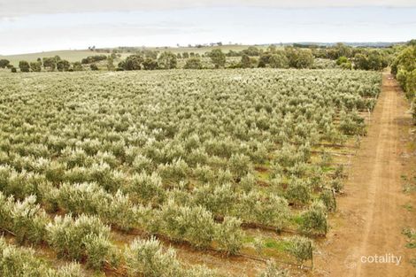 842 Macaw Creek Rd, Riverton, SA 5412