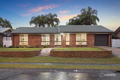 377 Gowan Rd, Sunnybank Hills, QLD 4109