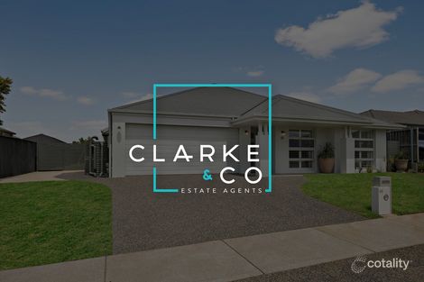 Property photo of 46 Dragonfly Drive Chisholm NSW 2322