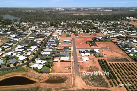 20 Woodside Dr, Gol Gol, NSW 2738