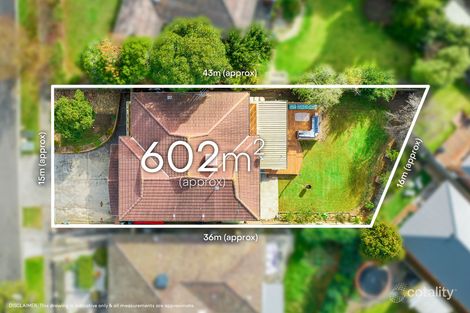 Property photo of 8 Downie Crescent Hamlyn Heights VIC 3215