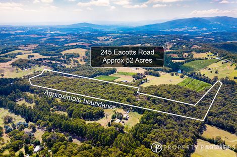 245 Eacotts Rd, Hoddles Creek, VIC 3139
