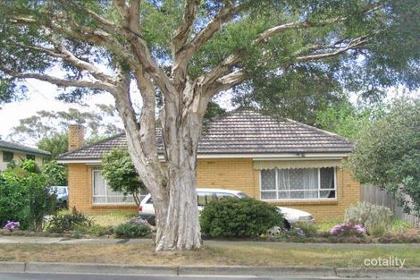 Property photo of 43 Longbrae Avenue Forest Hill VIC 3131