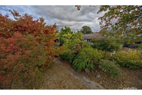 Property photo of 8 Hodgkinson Street Griffith ACT 2603