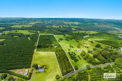 789 Tregeagle Rd, Tregeagle, NSW 2480