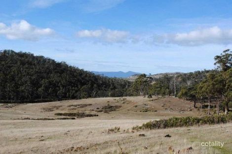 Property photo of 160 Triangle Marsh Road Swansea TAS 7190