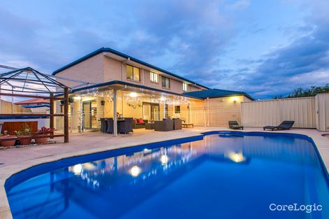 Property photo of 14 Coney Court Mountain Creek QLD 4557