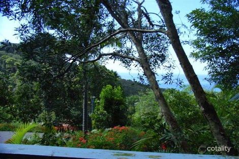 81 Hillside Rd, Newport, NSW 2106