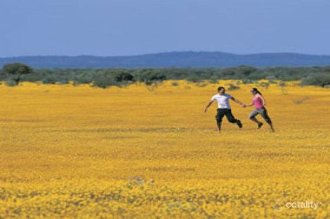 45 Maitland Rd, Mullewa, WA 6630