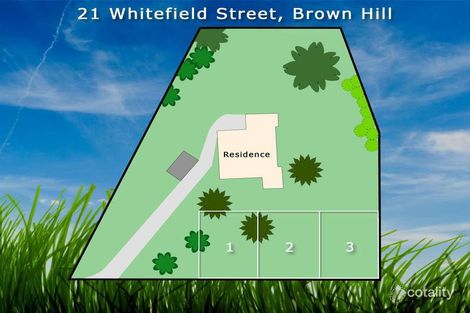 Property photo of 21 Whitefield Street Black Hill VIC 3350