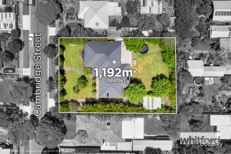 Property photo of 38 Cambridge Street Belmont VIC 3216