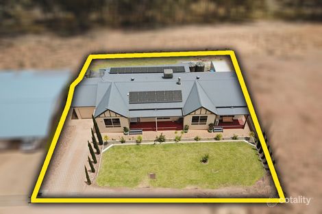 Property photo of 79 Apold Road Murbko SA 5320