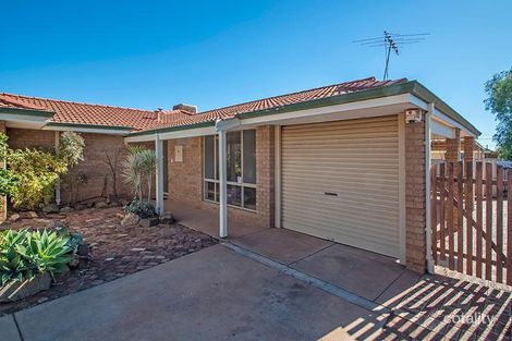 Property photo of 3/20 Frank Street South Kalgoorlie WA 6430