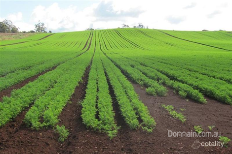 1178 Sheffield Rd, Lower Barrington, TAS 7306